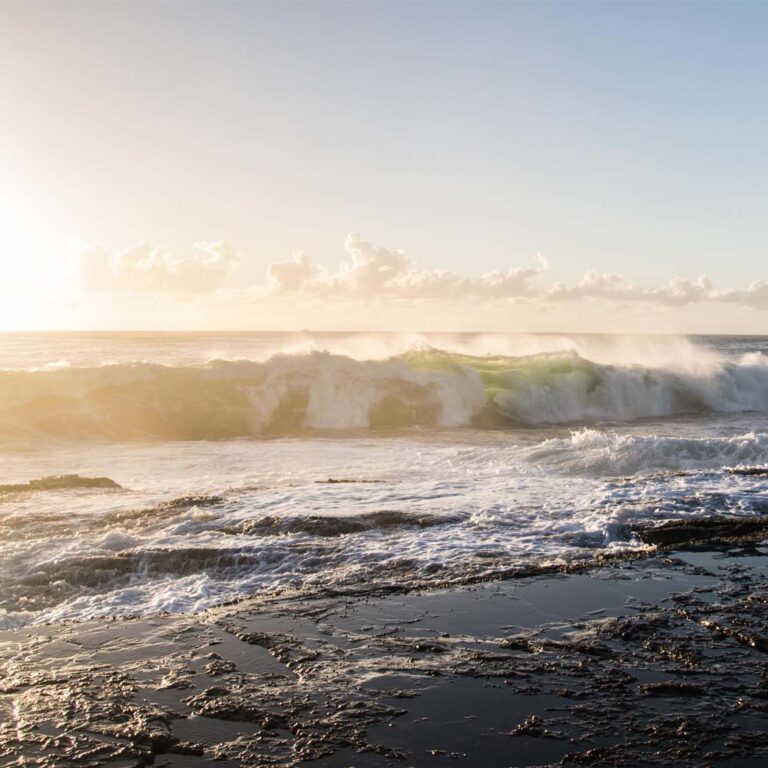 Things to do in Byron Bay Car Hire Travel Guide